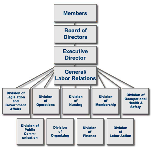 Nursing Organizational Chart